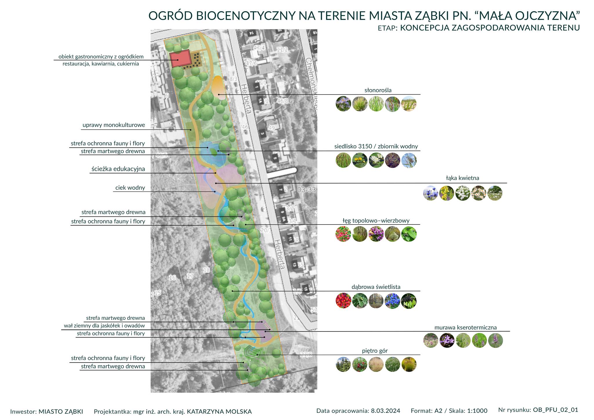 zdjecie na stronie o tytule: Ogród Biocenotyczny przy ul. Herberta