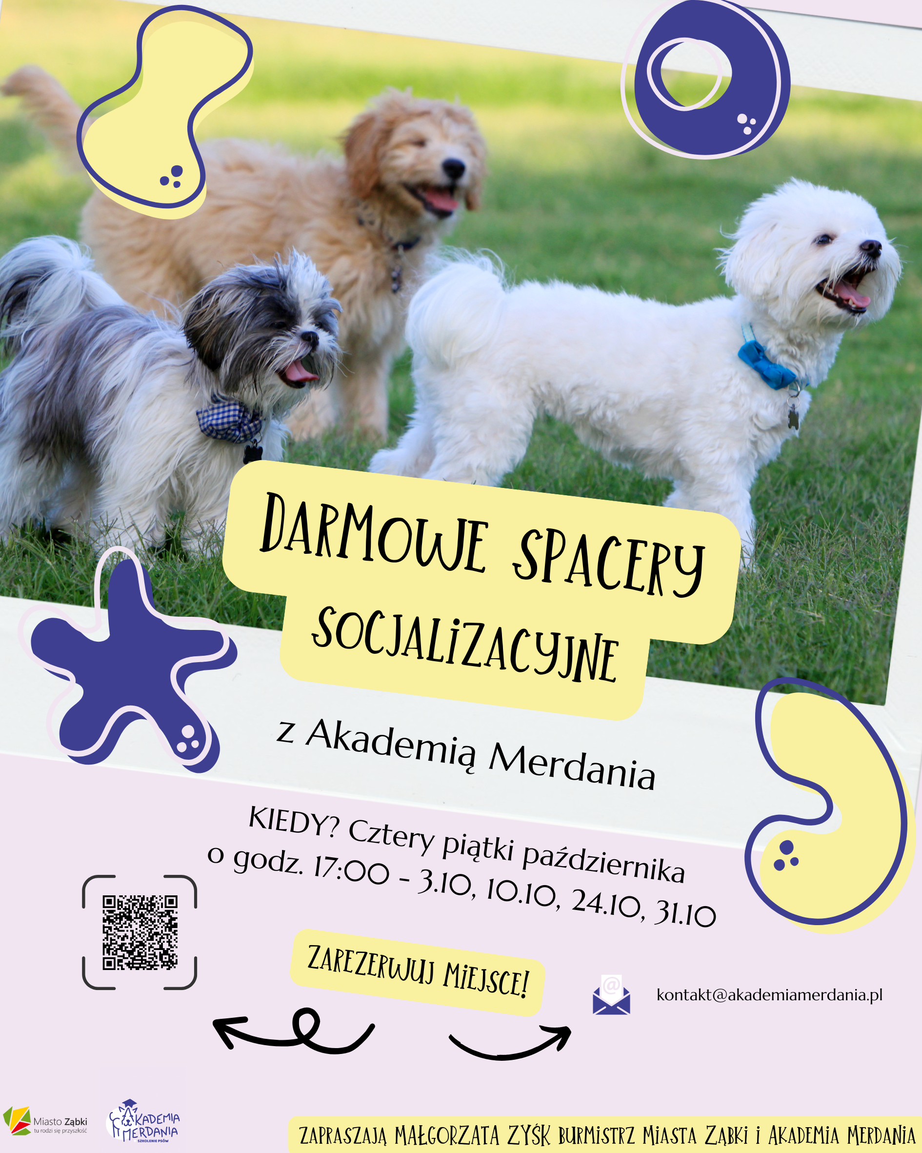 zdjecie na stronie o tytule: Jesienne spacery z twoim psem w grupie!