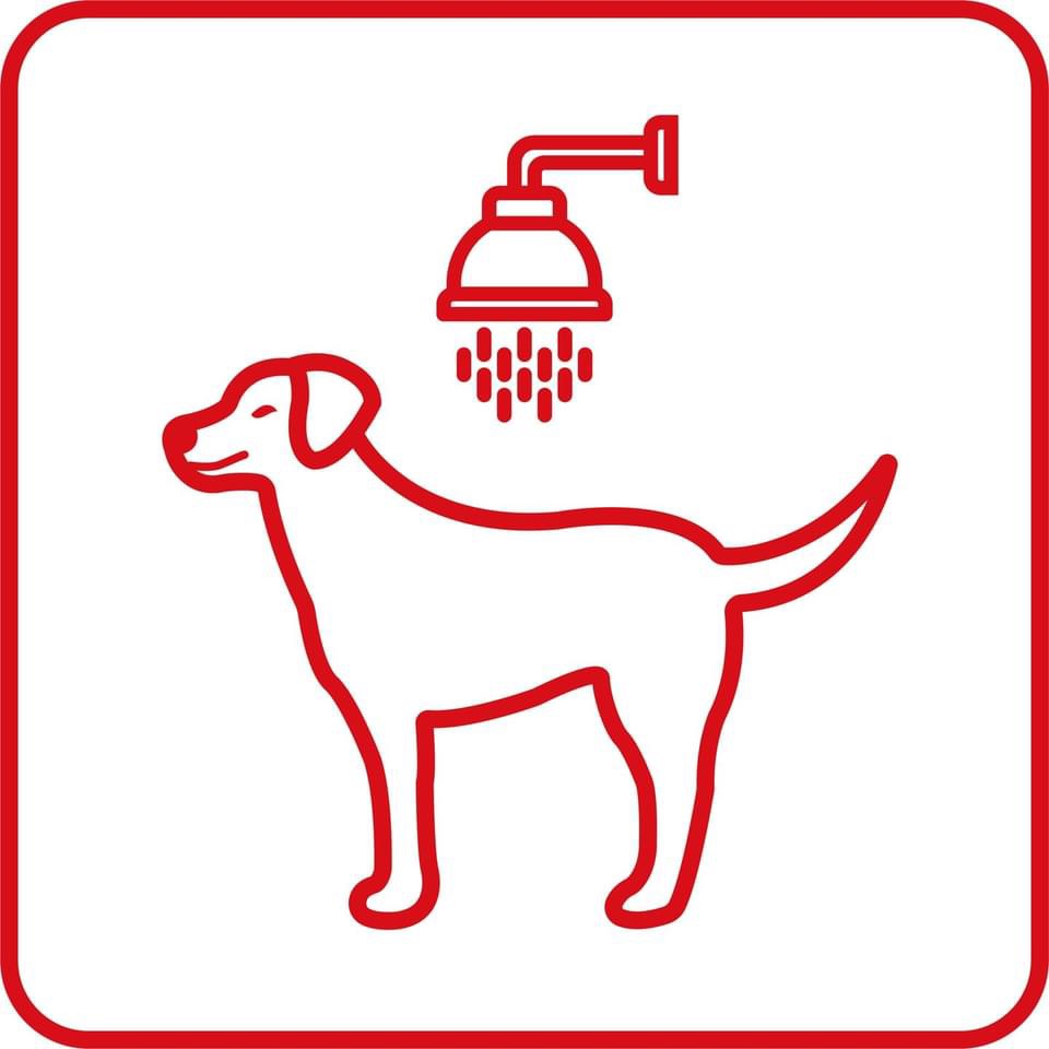 zdjecie na stronie o tytule: Samoobsługowa Myjnia dla Psa Wash Dog Express -  koniec z bałaganem w domu!
