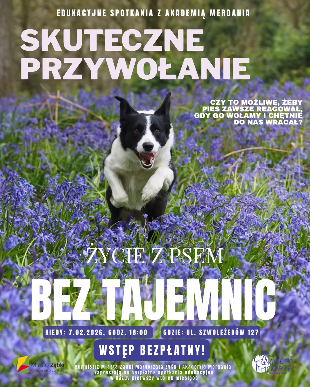 zdjecie na stronie o tytule: Coś dla Ciebie i Twojego psa, czyli edukacyjne spotkania z Akademią Merdania !
