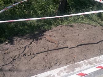 obraz-1 na stronie o tytule: Niewypał na 3 Maja