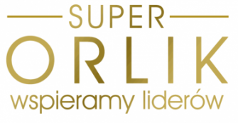 obraz-1 na stronie o tytule: Przyjaciel Super Orlika 2013