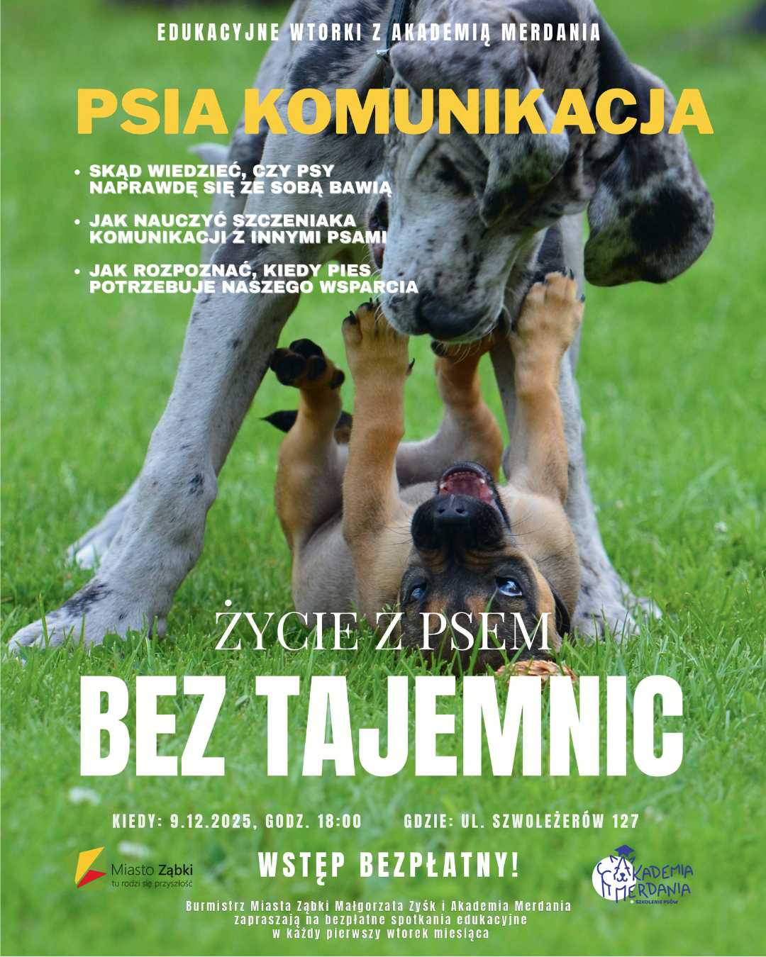 zdjecie na stronie o tytule: Życie z psem bez tajemnic - kolejne warsztaty dla opiekunów psów już jutro