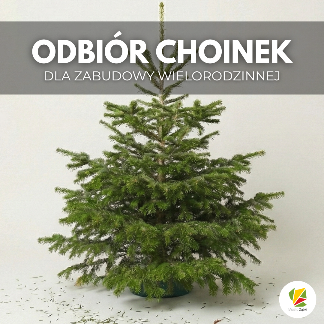 zdjecie na stronie o tytule: Odbiór choinek dla zabudowy wielorodzinnej
