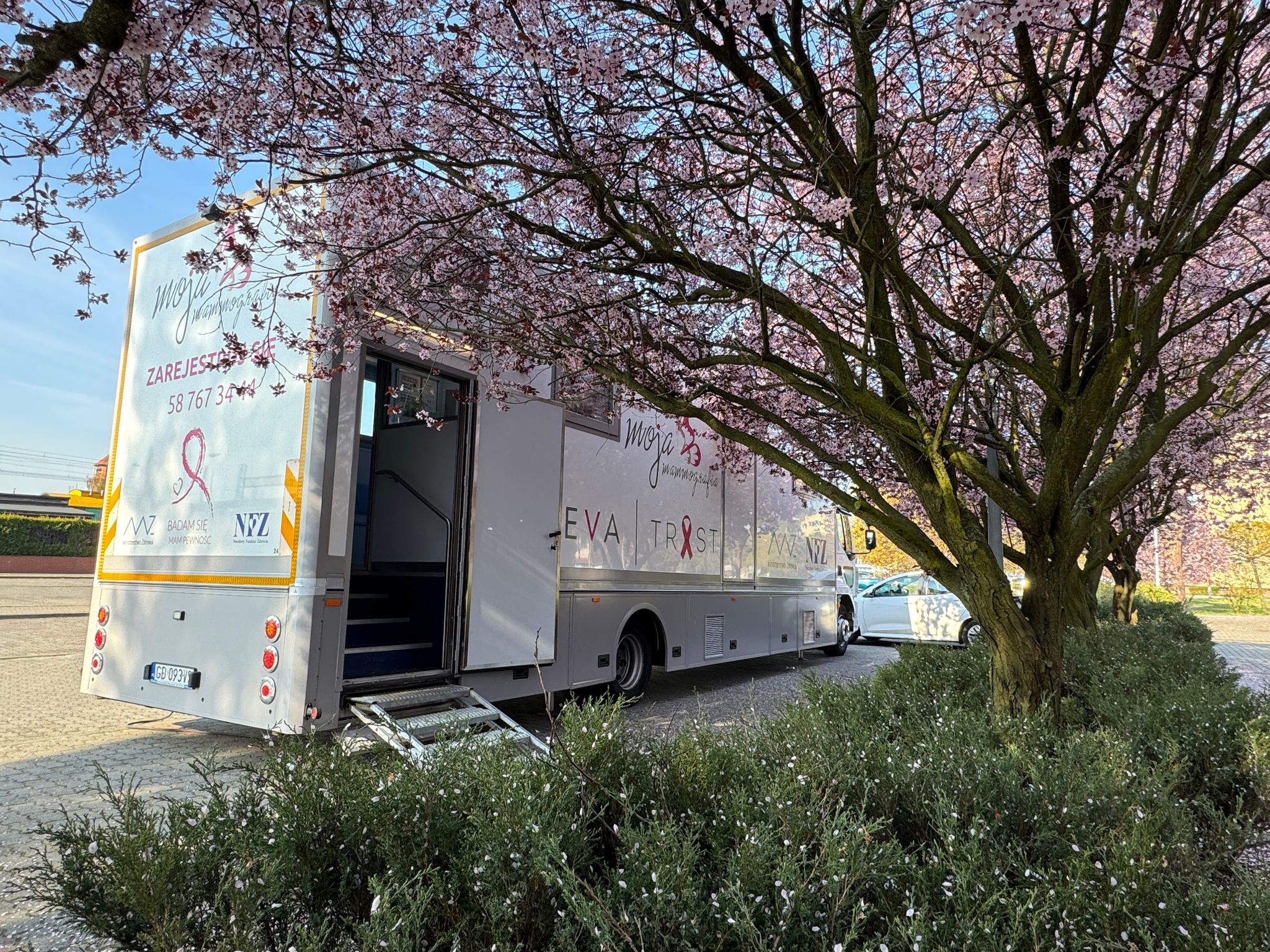 zdjecie na stronie o tytule: Profilaktyka ratuje życie - mammobus w Ząbkach!