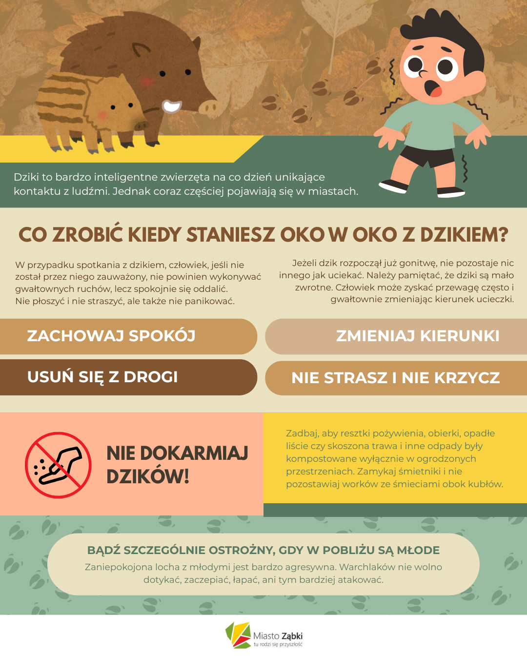 zdjecie na stronie o tytule: Co zrobić kiedy staniesz oko w oko z dzikiem?