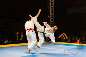 obraz-1 na stronie o tytule: ZAPROSZENIE NA VII KYOKUSHIN CUP W ZĄBKACH
