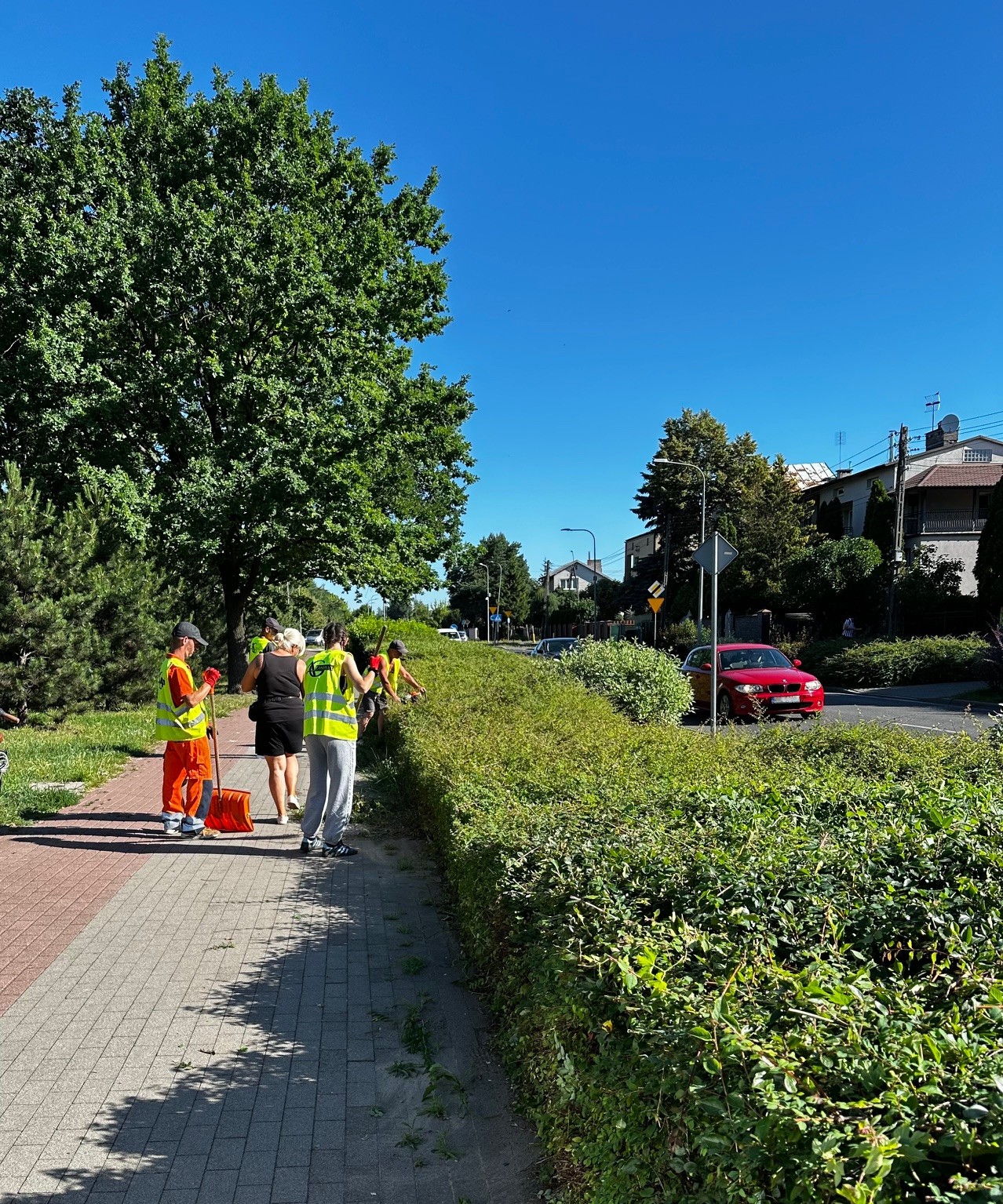 zdjecie na stronie o tytule: Zieleń miejska to coś więcej niż dekoracja!