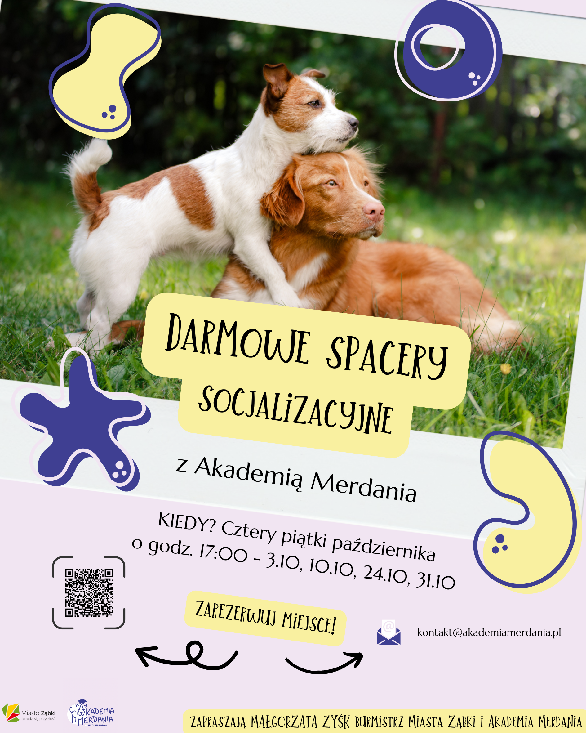 zdjecie na stronie o tytule: Akcja trwa - Spacery socjalizacyjne dla psów i ich właścicieli w październiku