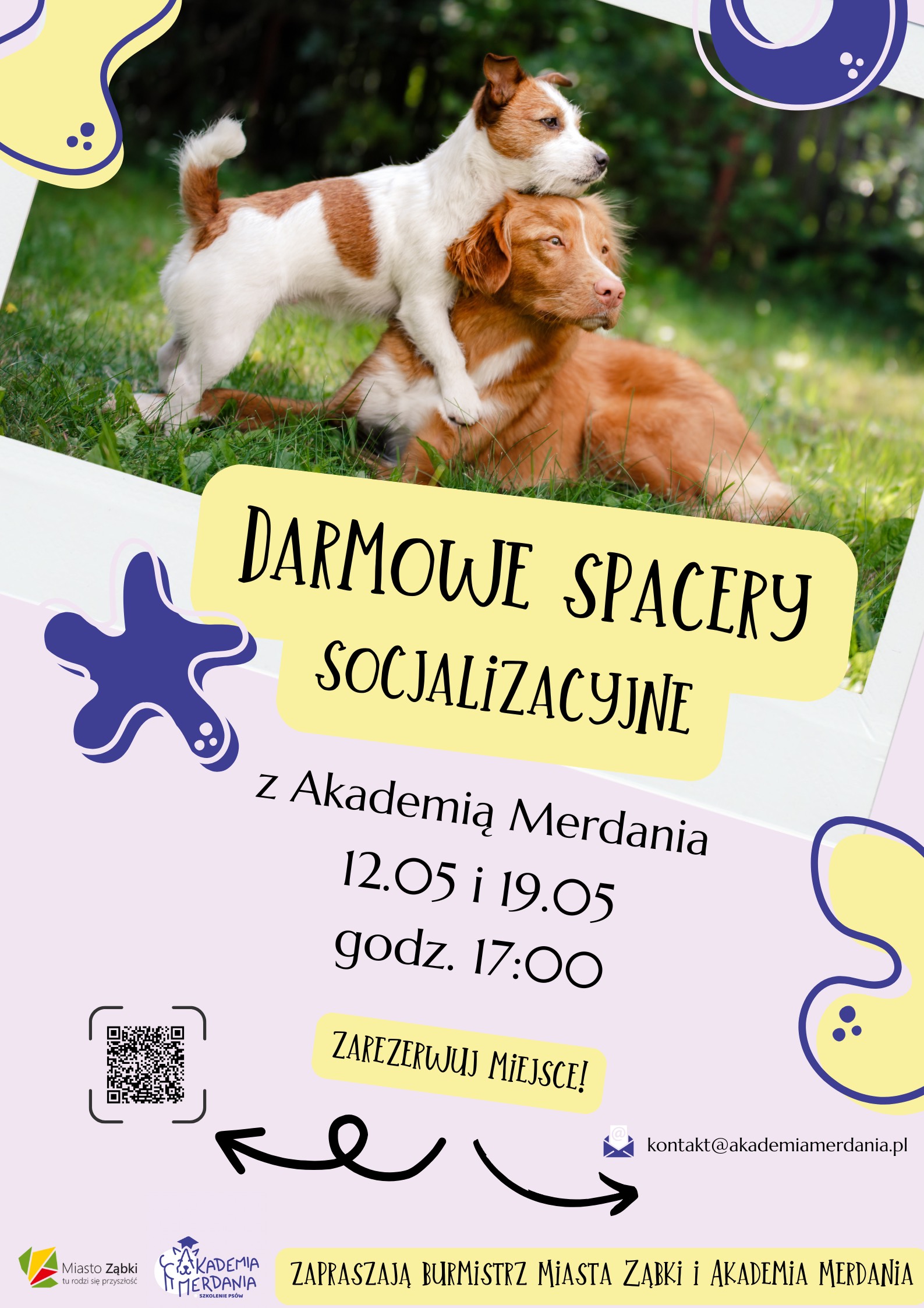 zdjecie na stronie o tytule: Wraz z wiosną wracają darmowe spacery socjalizacyjne dla psów!