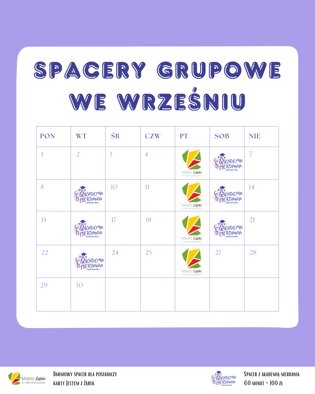 zdjecie na stronie o tytule: Darmowe spacery socjalizacyjne również we wrześniu!