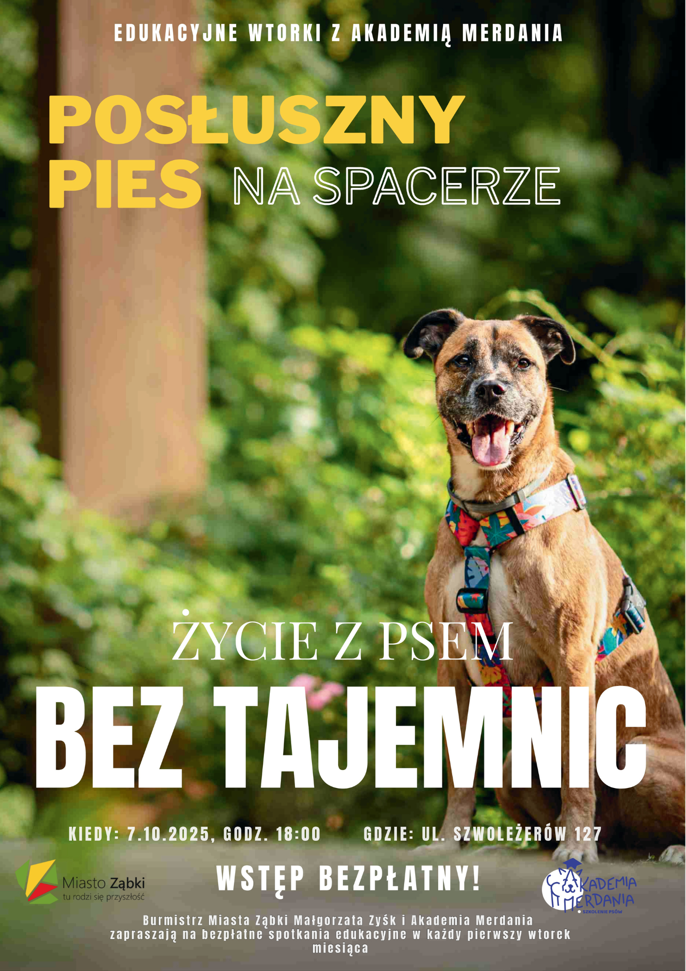 zdjecie na stronie o tytule: Życie z psem bez tajemnic - kolejne edukacyjne spotkanie z Akademią Merdania