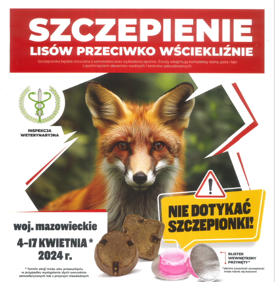 zdjecie na stronie o tytule: Akcja szczepienia lisów przeciwko wściekliźnie od 4 do 17 kwietnia 2024r.