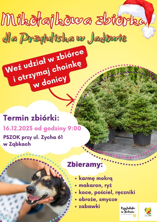 zdjecie na stronie o tytule: Przynieś karmę, odbierz choinkę w donicy!