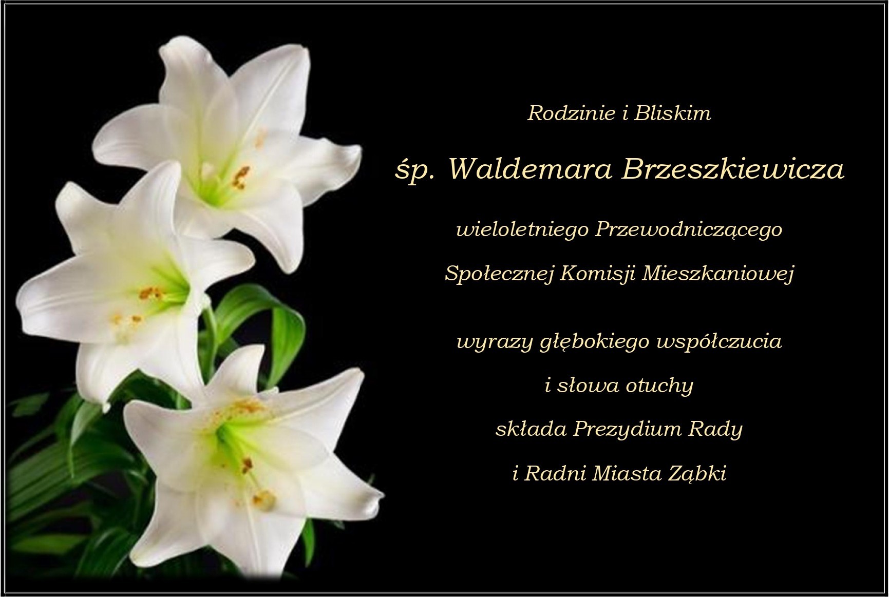 zdjecie na stronie o tytule: wyrazy głębokiego współczucia i słowa otuchy