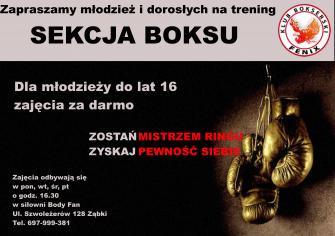 obraz-1 na stronie o tytule: Nabór do sekcji boksu w Ząbkach