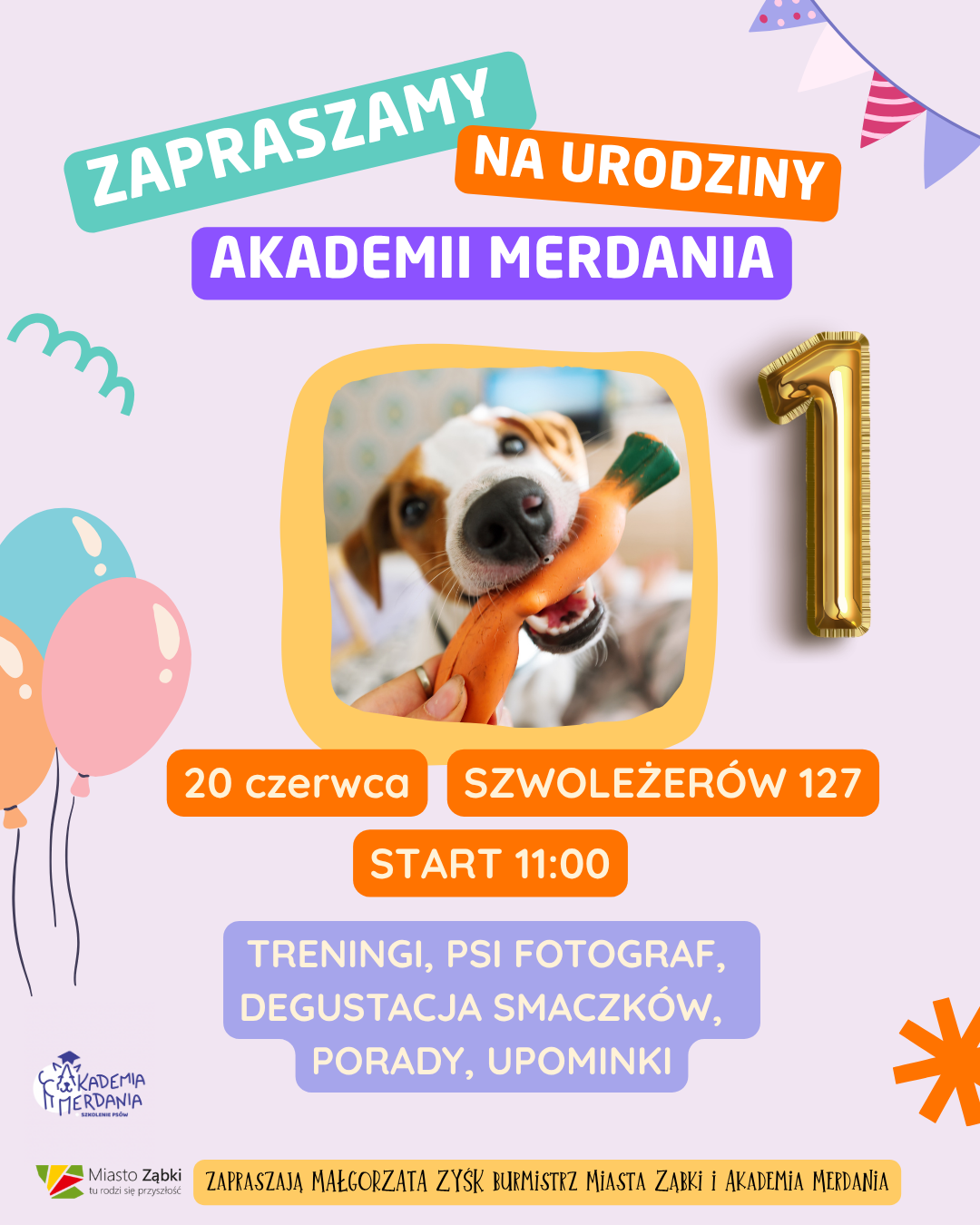 zdjecie na stronie o tytule: Akademia Merdania świętuje pierwsze urodziny!