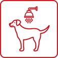 Samoobsługowa Myjnia dla Psa Wash Dog Express -  koniec z bałaganem w domu!