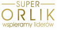 Przyjaciel Super Orlika 2013