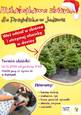 Mikołajkowa zbiórka dla Przytuliska w Jadowie