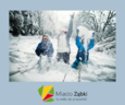 Zima w mieście 2025. Szczegóły