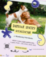 Akcja trwa - Spacery socjalizacyjne dla psów i ich właścicieli w październiku