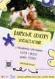 Spacery socjalizacyjne dla psów z Akademią Merdania