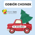 Odbiór choinek od 19 do 23 lutego
