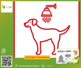 Jak kąpać psa? Wskazówki samoobsługowej Myjni dla Psa Wash Dog Express