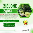 Plan prac związanych z zielenią miejską w Ząbkach