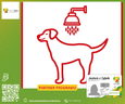 Dlaczego warto kąpać psa - podpowiada Wash Dog Express
