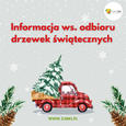 Odbiór drzewek świątecznych