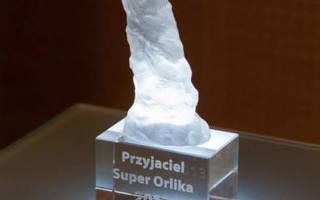Przyjaciel Super Orlika 2013
