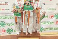 Fotografia dotycząca XVII Turnieju Karate w Ząbkach