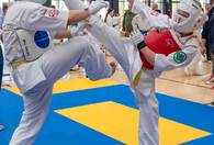 Fotografia dotycząca XVII Turnieju Karate w Ząbkach