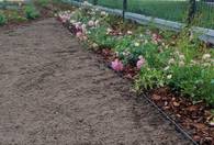 Fotografia dotycząca Nowy zielony skwer przy ul. Skowronka coraz piękniejszy