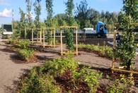 Fotografia dotycząca Nowy zielony skwer przy ul. Skowronka coraz piękniejszy