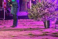 Fotografia dotycząca Betlejemskie Światło Pokoju