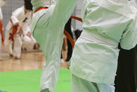 Fotografia dotycząca Relacja z XIV Junior KYOKUSHIN CUP w Ząbkach