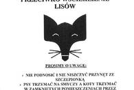 Fotografia dotycząca Uwaga, akcja szczepienia lisów od 4 do 15 listopada
