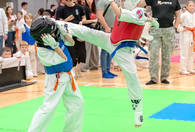 Fotografia dotycząca XVI Junior KYOKUSHIN Cup w Ząbkach