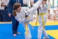 Fotografia dotycząca XVII Turnieju Karate w Ząbkach