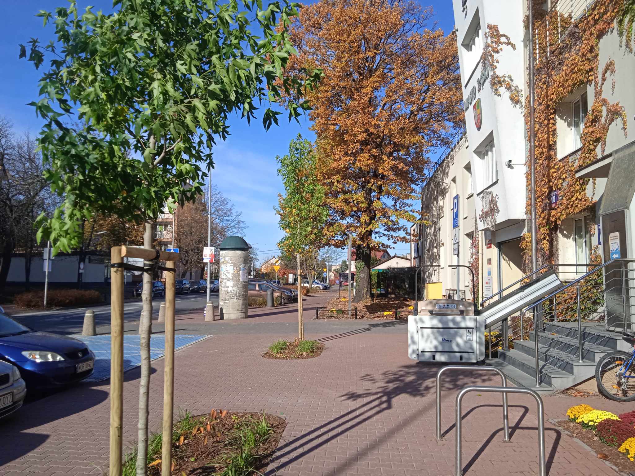 drzewa przed UM Ząbki